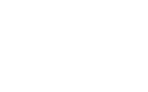 Bernie & Vincent
